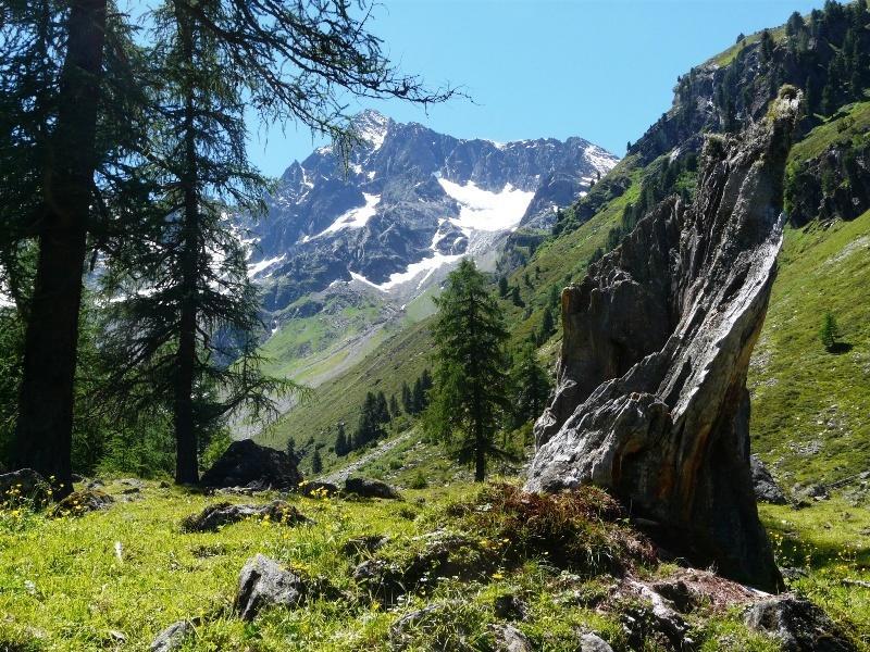 Pension Schoepf Arzl im Pitztal Kültér fotó