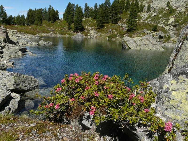 Pension Schoepf Arzl im Pitztal Kültér fotó